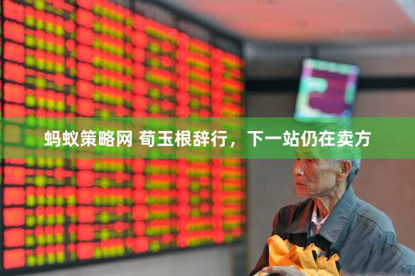 蚂蚁策略网 荀玉根辞行，下一站仍在卖方