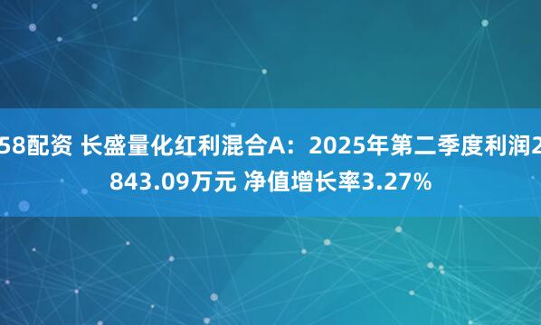 58配资 长盛量化红利混合A：2025年第二季度利润2843.09万元 净值增长率3.27%