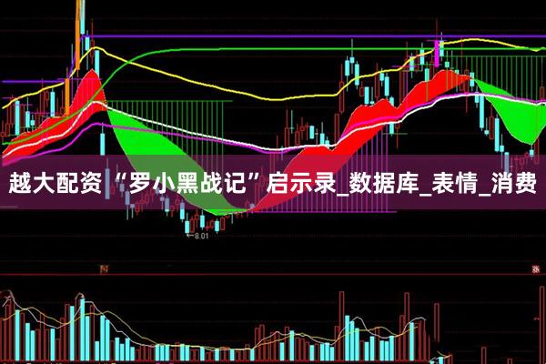 越大配资 “罗小黑战记”启示录_数据库_表情_消费