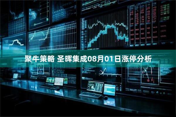 聚牛策略 圣晖集成08月01日涨停分析